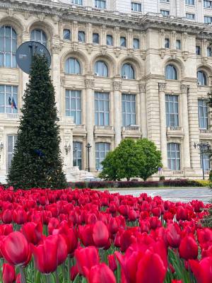 Guided tour of the Parliament Palace - Tur cu ghid al Palatului Parlamentului